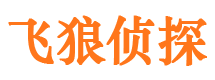 平川外遇调查取证